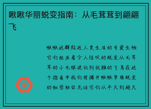 啾啾华丽蜕变指南：从毛茸茸到翩翩飞